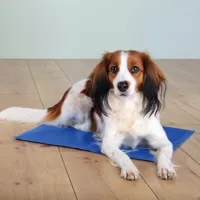 tapis rafraîchissant pour chien taille m par 2 unités
