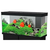 aquarium sur meuble emotions pro - noir - 239l