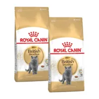 royal canin british shorthair adulte croquettes chat 2x10 kg