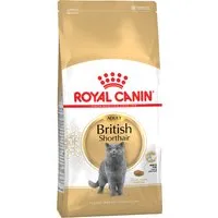 2x10kg british shorthair royal canin - croquettes pour chat british shorthair