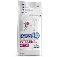 lot forza10 pour chien - active line, intestinal active (2 x 10 kg)