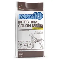 lot forza10 pour chien - intestinal colon phase 1 agneau (2 x 10 kg)