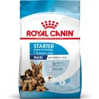 lots économiques royal canin size - maxi starter mother & babydog (2 x 15 kg)