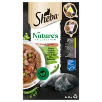 sheba nature's collection en sauce 32 x 85 g - coffret terre & mer
