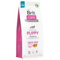 lots économiques brit care - grain-free puppy saumon, pommes de terre (2 x 12 kg)