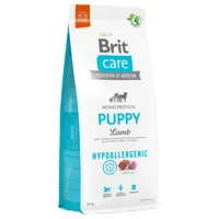 lots économiques brit care - hypoallergenic puppy agneau, riz (2 x 12 kg)