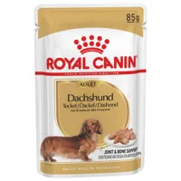 royal canin adult teckel pâtée pour chien 1 boîte (12 x 85 g)