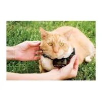 petsafe - collier supplementaire special chat