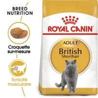 royal canin british shorthair adulte croquettes chat 10 kg