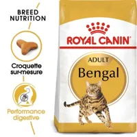 royal canin bengal adulte croquettes chat 10 kg