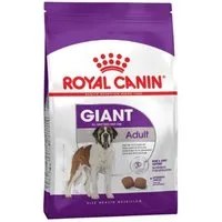 giant adult - royal canin, croquettes chien