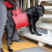 harnais de soutien antérieur pour chiens handicapés ou à mobilité réduite