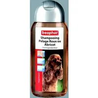 shampoing pour chien à pelage abricot ou roux