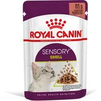 96x85g sensory smell en sauce royal canin - pâtée pour chat