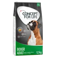 2x12kg boxer adult concept for life - croquettes pour chien